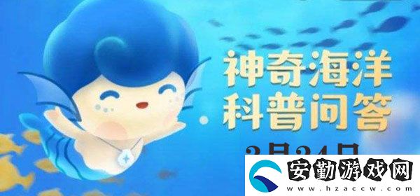 以下哪種鯨魚(yú)被稱為“熱帶鯨”